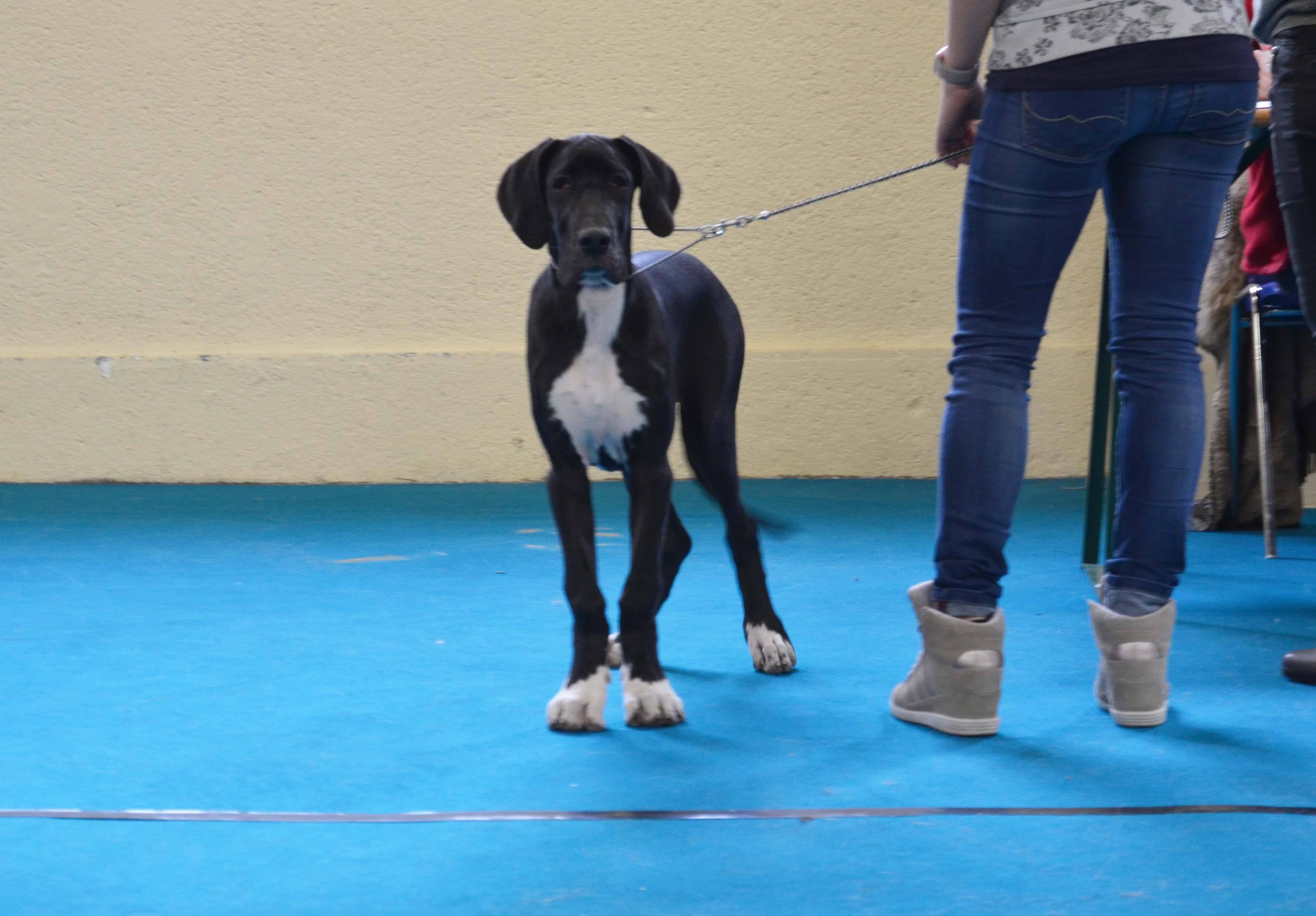 Nerina (dite naya) De Mandilou